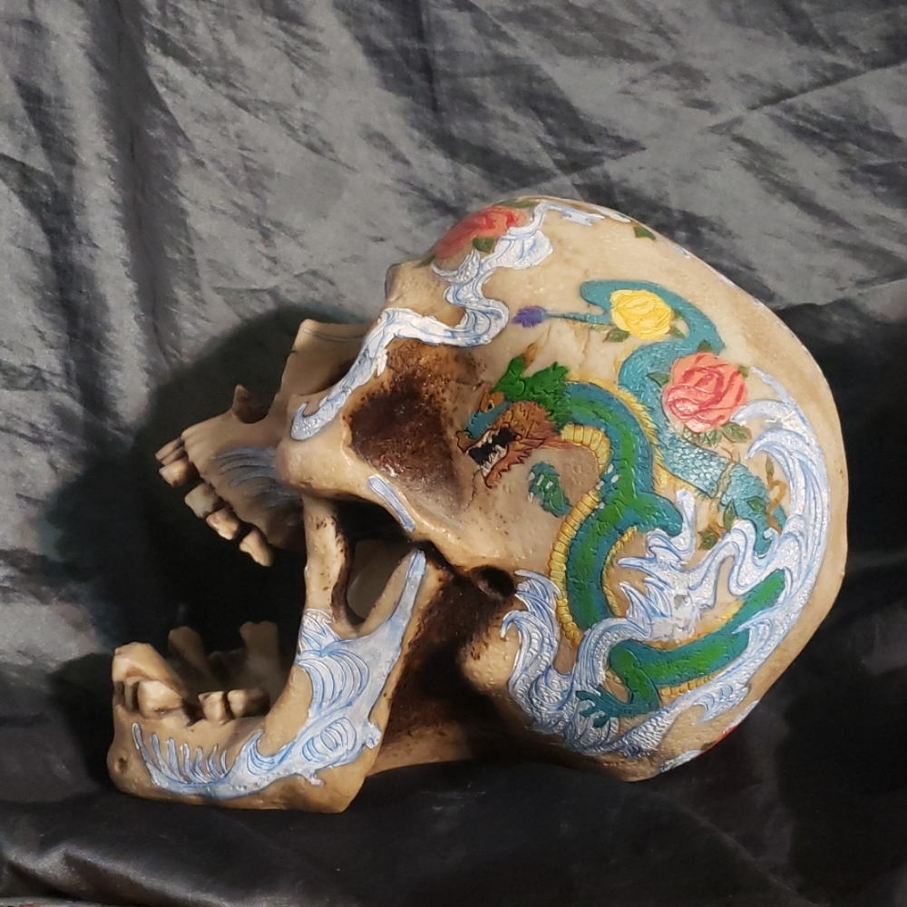 Painted Skull - Picture 3 of 8